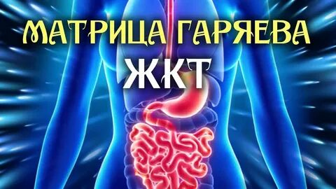 Матрица горяева исцеление жкт