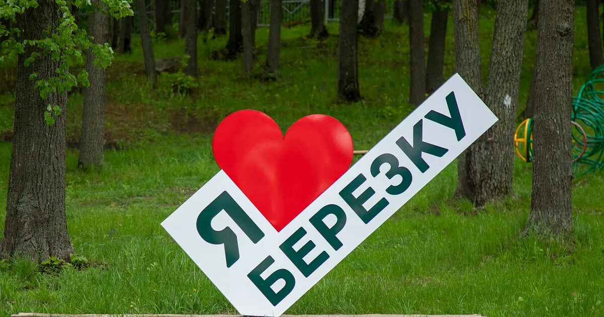Лагерь лето 2025 путевки. Лагерь березка 2025. орлёнок детский лагерь тула. лагерь березка тульская область. лагерь березка купить путевку 2025.