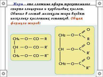 4 г жиры 0 2