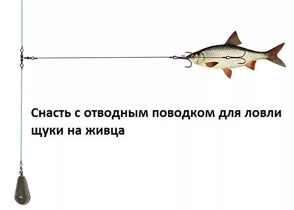 Поплавочная живцовая снасть на щуку. Ловля на живца на реке. Поплавочная снасть на щуку на живца. Живцовая поплавочная оснастка. Ловля на живца на реке.