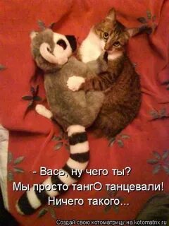 Я не просто так пришел