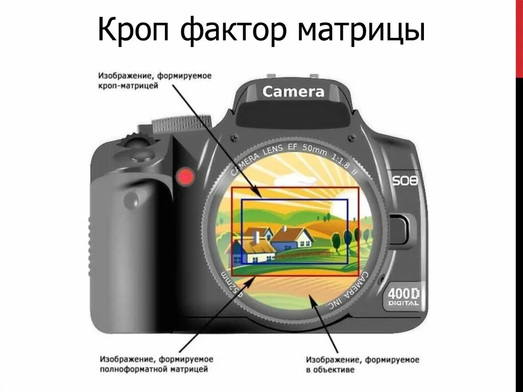 Фотоаппарат изображение какое. Полнокадровый фотоаппарат матрица. цифровой фотоаппарат матрица и объектив. полнокадровый и неполнокадровый фотоаппарат. типы матриц фотоаппаратов.