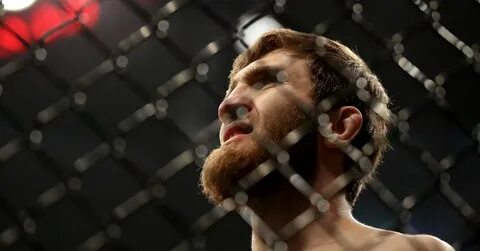 Ufc sandhagen nurmagomedov