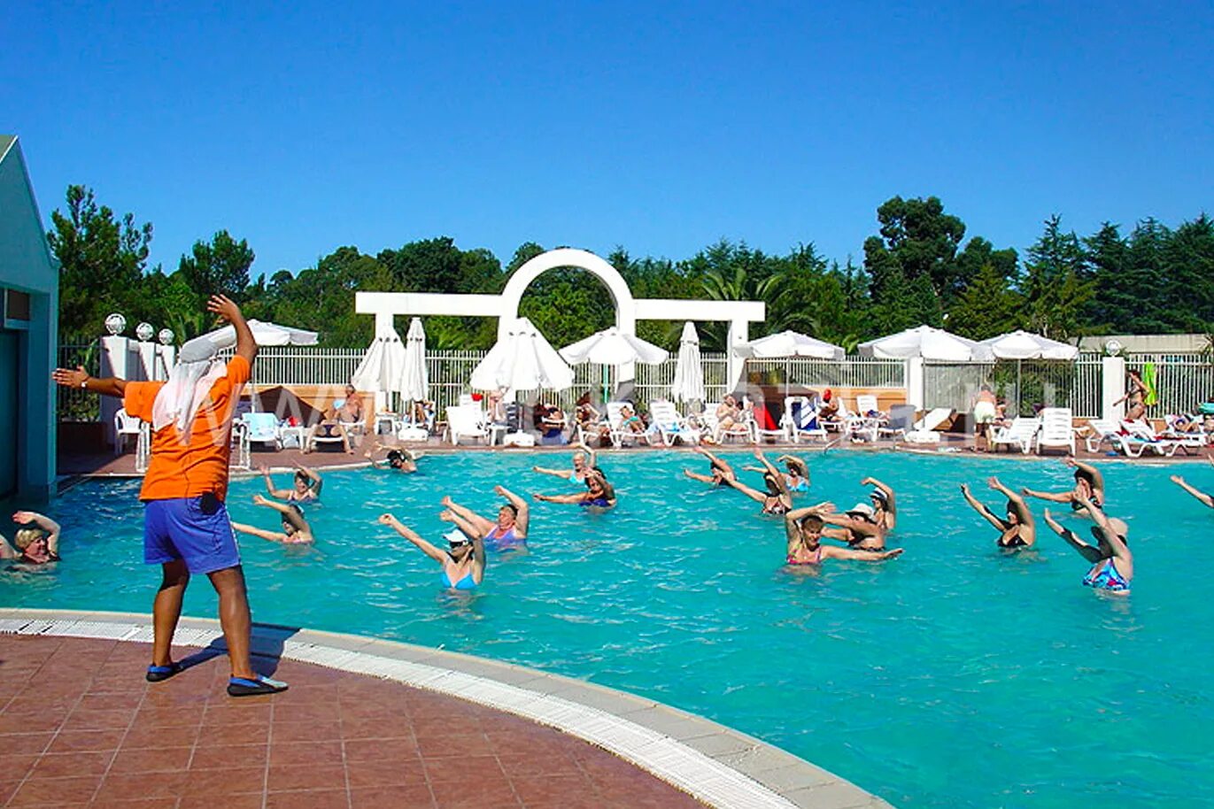 Санаторий самшитовая роща абхазия. Пицунда абхазия санатории самшитовая роща. Отель самшитовая роща абхазия. Пансионат «самшитовая роща», абхазия, пицунда). Пицунда абхазия санатории самшитовая роща.