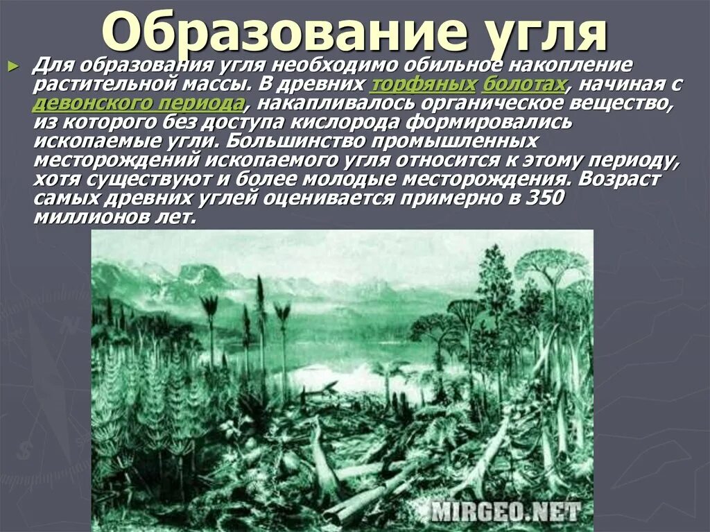 Значение древних вымерших папоротниковидных в природе. Образование каменного угля. Формирование каменного угля. Как образовался каменный уголь. Появление каменного угля.