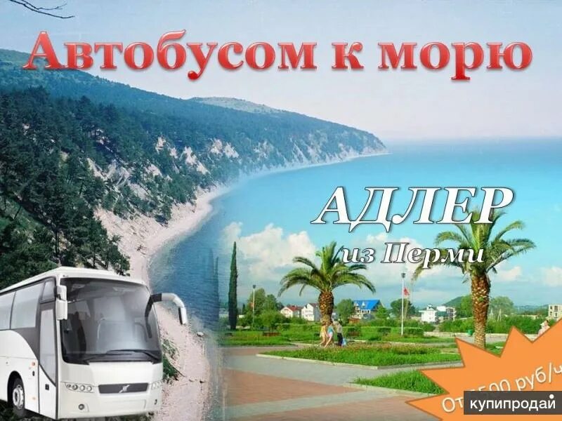 Автобусом к морю. Автобус на море. Тур на автобусе к морю. Адлер автобусом к морю. Автобусный тур из владимира на море