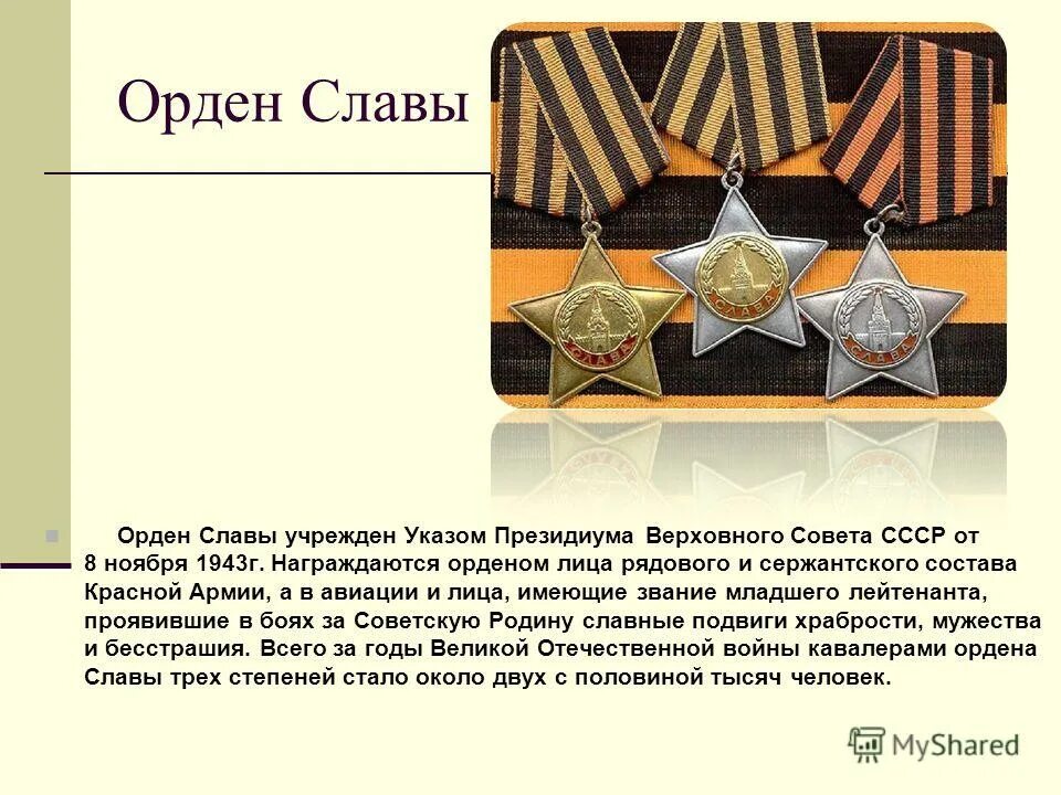 Орден славы идиот. Орден славы идиот