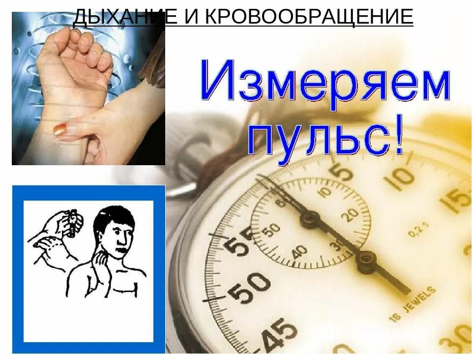 Дыхание и кровообращение вопросы. Дыхание и кровообращение. Дыхание и кровообращение презентация. Дыхание и кровообращения окружающий мир 3 класс презентация. Проект дыхание и кровообращение.