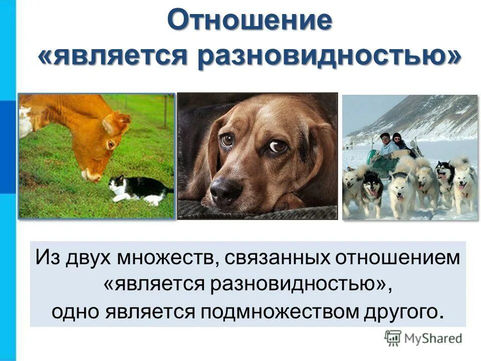 Вид является разновидностью. Отношение является разновидностью связывает. отношение является разновидн. отношение является разновидностью. отношение объектов разновидности объектов и их классификация.
