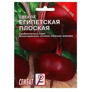 Свекла египетская плоская