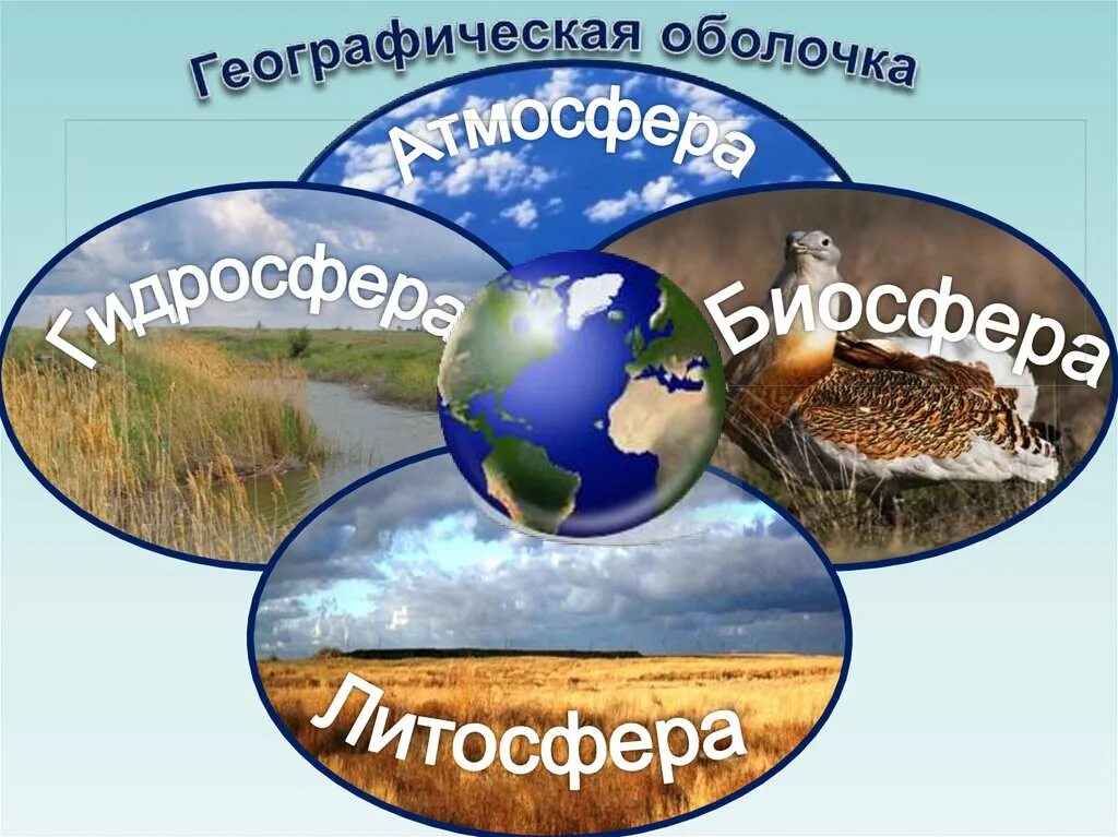 Биосфера параграф по географии 6 класс. Географическая оболочка. Оболочки земли. Географический. Оболочки земли география.