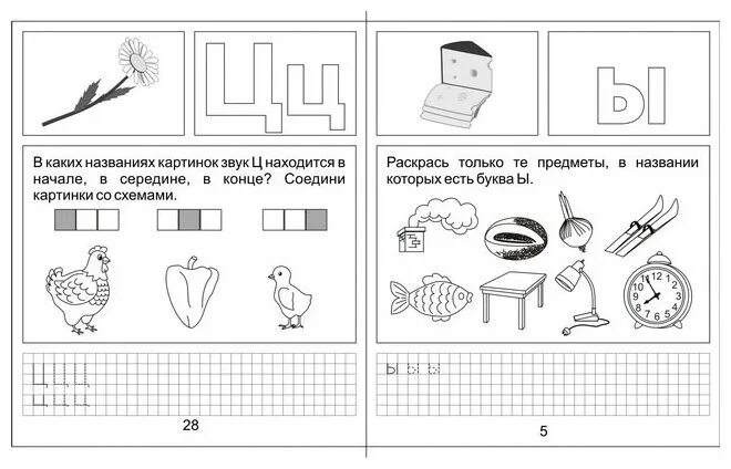 Звук и буква ц подготовительная группа