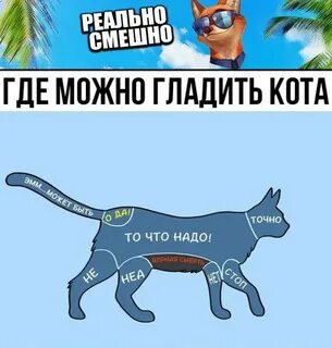 Кота гладить приятно