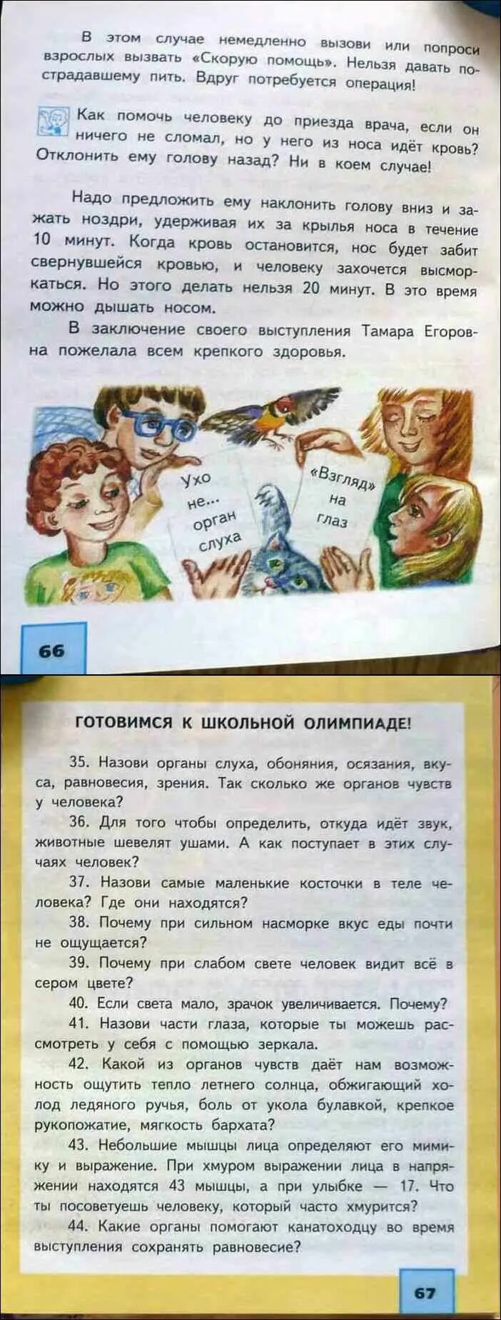 Федотова учебник 4 класс 2 часть. Учебник по окружающему миру 4 класс 2 часть Федотова. Учебник по окружающему миру 2 класс 2 часть Федотова. Учебник по окружающему миру 2 класс 2 Федотова. Ответы на Олимпиаду по окружающему миру 4 класс Федотова.