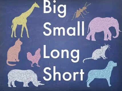 Shorter the longing