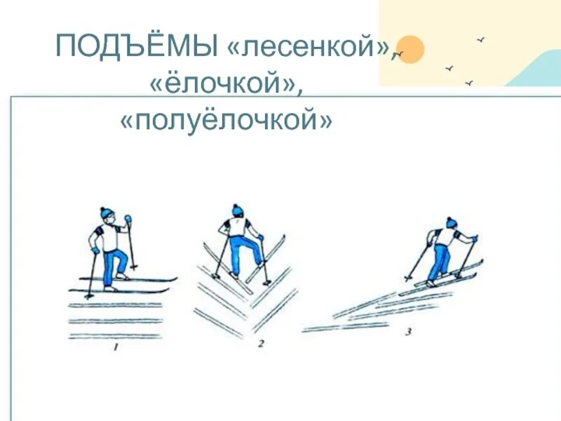 Техника выполнения подъема на лыжах. Подъем лесенкой елочкой полуелочкой. Подъем полуелочкой на лыжах техника. Подъем лесенкой на лыжах. Способ подъема лесенкой на лыжах.
