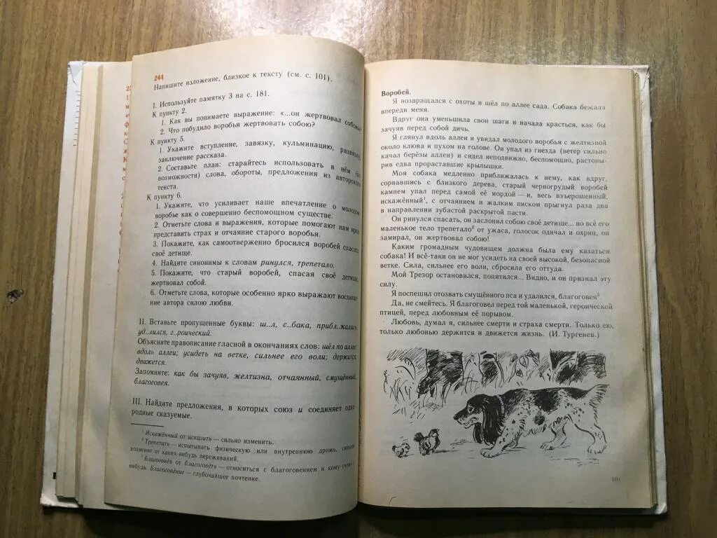 Текст старый воробей. Изложение Воробей. Воробей изложение 5 класс. Русская речь учебник Никитина. Изложение отчаянный Воробей.