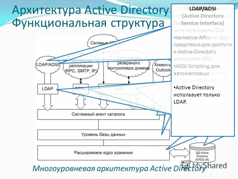 Иерархии каталога Active Directory. Структурная схема Active Directory. Архитектура Active Directory. Структура каталога Active Directory.