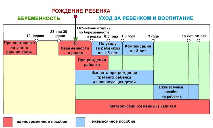 Можно ли получить декретные и зарплату. Размер отпуска по беременности и родам. Декретные пособия. Срок пособий на ребенка при рождении. Сколько платят декретные.