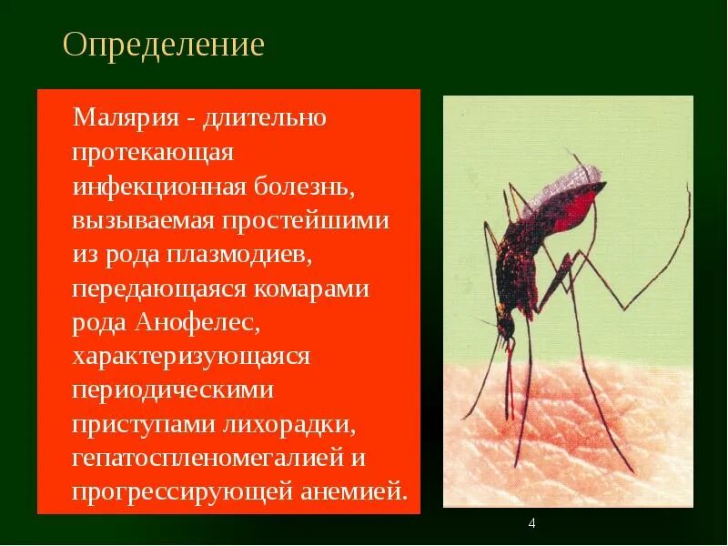 Тяжелое течение малярии ассоциируется с возбудителем. Инфекционные болезни малярийный комар. Малярия возбудитель малярийный комар. Переносчик малярии комар из рода анофелес. Малярия переносчик болезней.