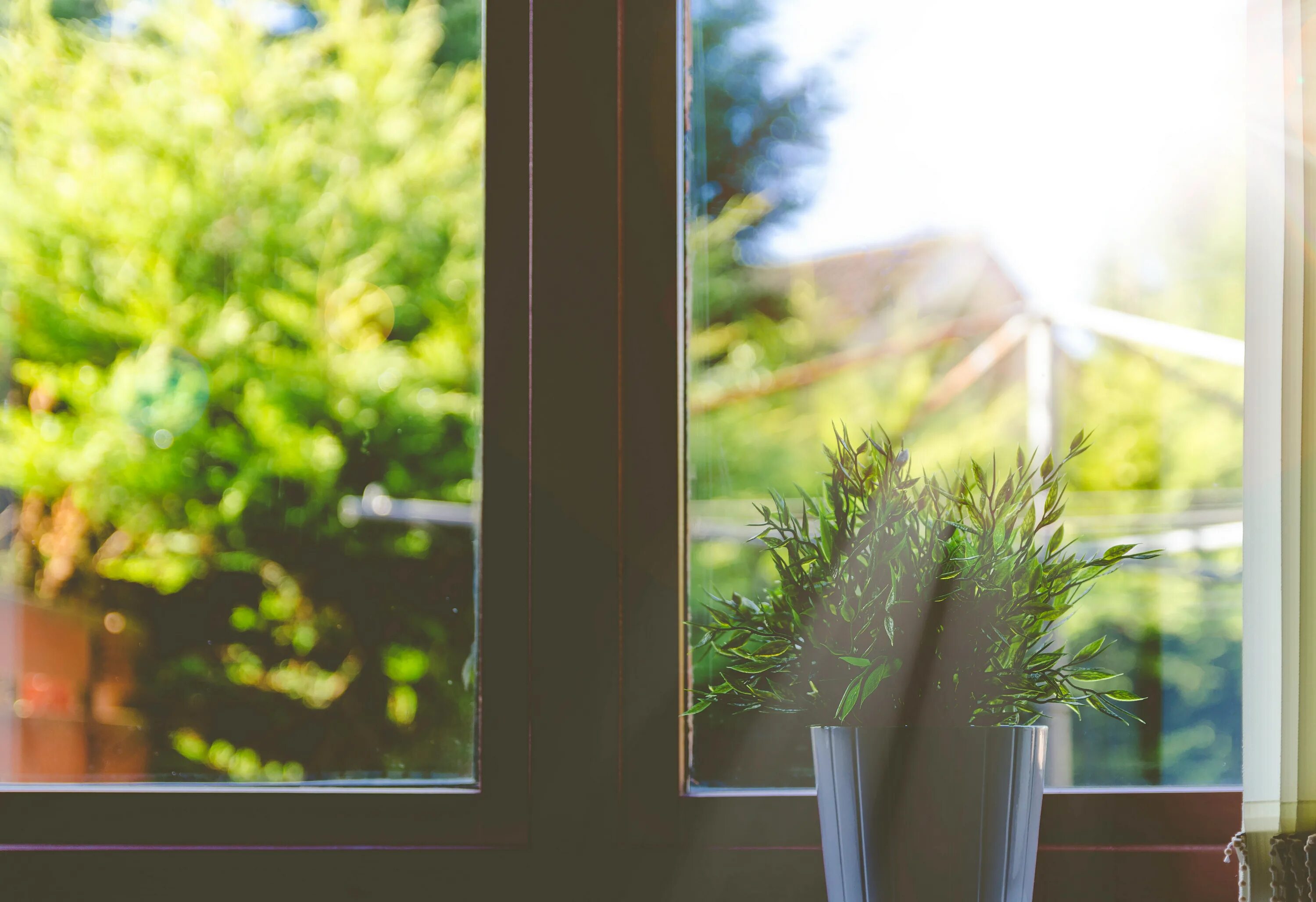 Sun open windows