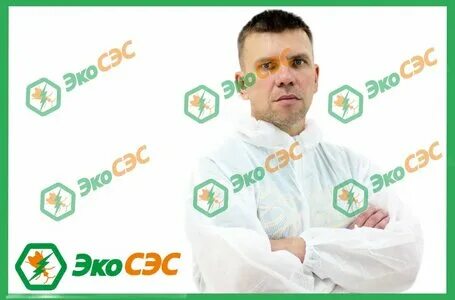 Эко сэс