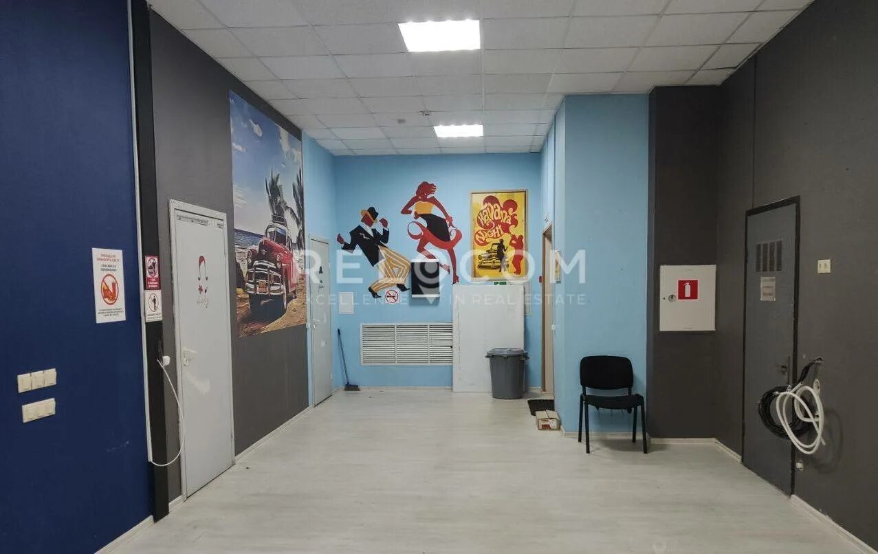 Торговая галерея москва сокол. Аренда сокола. Сокол, ул. Сокол сапсан птица. Сапсан птица фото.