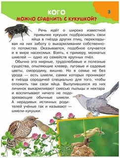 Как писатель относится к кукушке есть