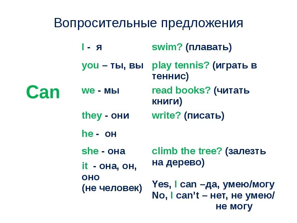 Правила глагола can в английском языке. Предложения с глаголом can. Вопросы с can в английском. Глагол can в английском языке вопросительные предложения.