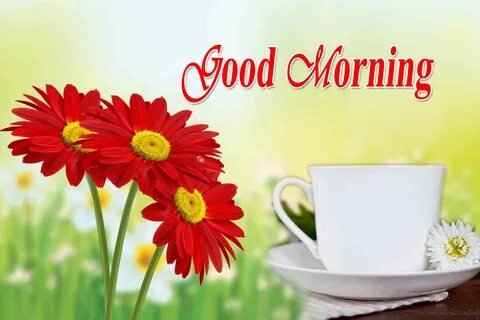 Good morning на русском
