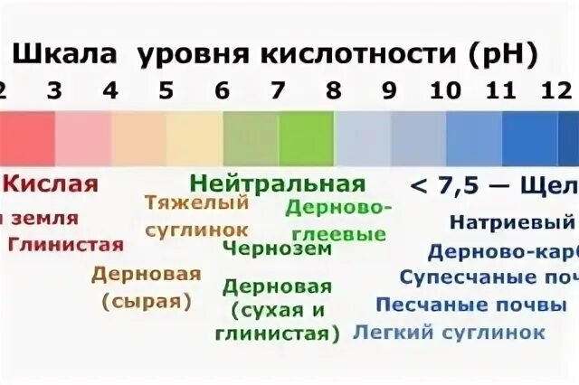 Кислотность почвы таблица PH. Шкала кислотности PH почвы. Таблица кислотности почвы для огородных растений. Шкала кислотности почвы для овощей. Посадки кислотность