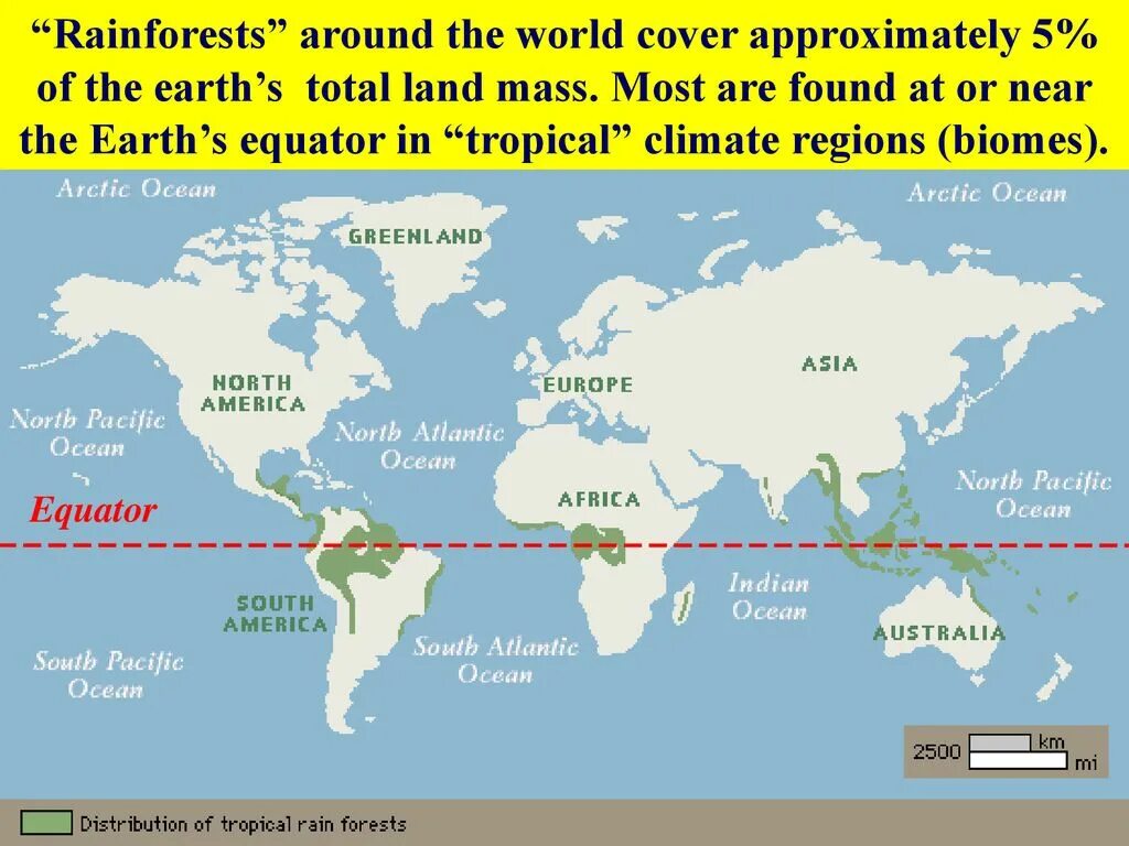 Equator Rainforests. Equator in Europe. Following the Equator. Equator animals which have suffered from the climate change.