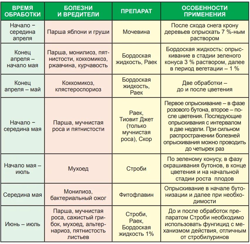 Весной при какой температуре можно опрыскивать деревья. Схема защиты плодовых деревьев. схема подкормки плодовых деревьев и кустарников. схема опрыскивания плодовых деревьев. схема подкормки плодовых деревьев весной.