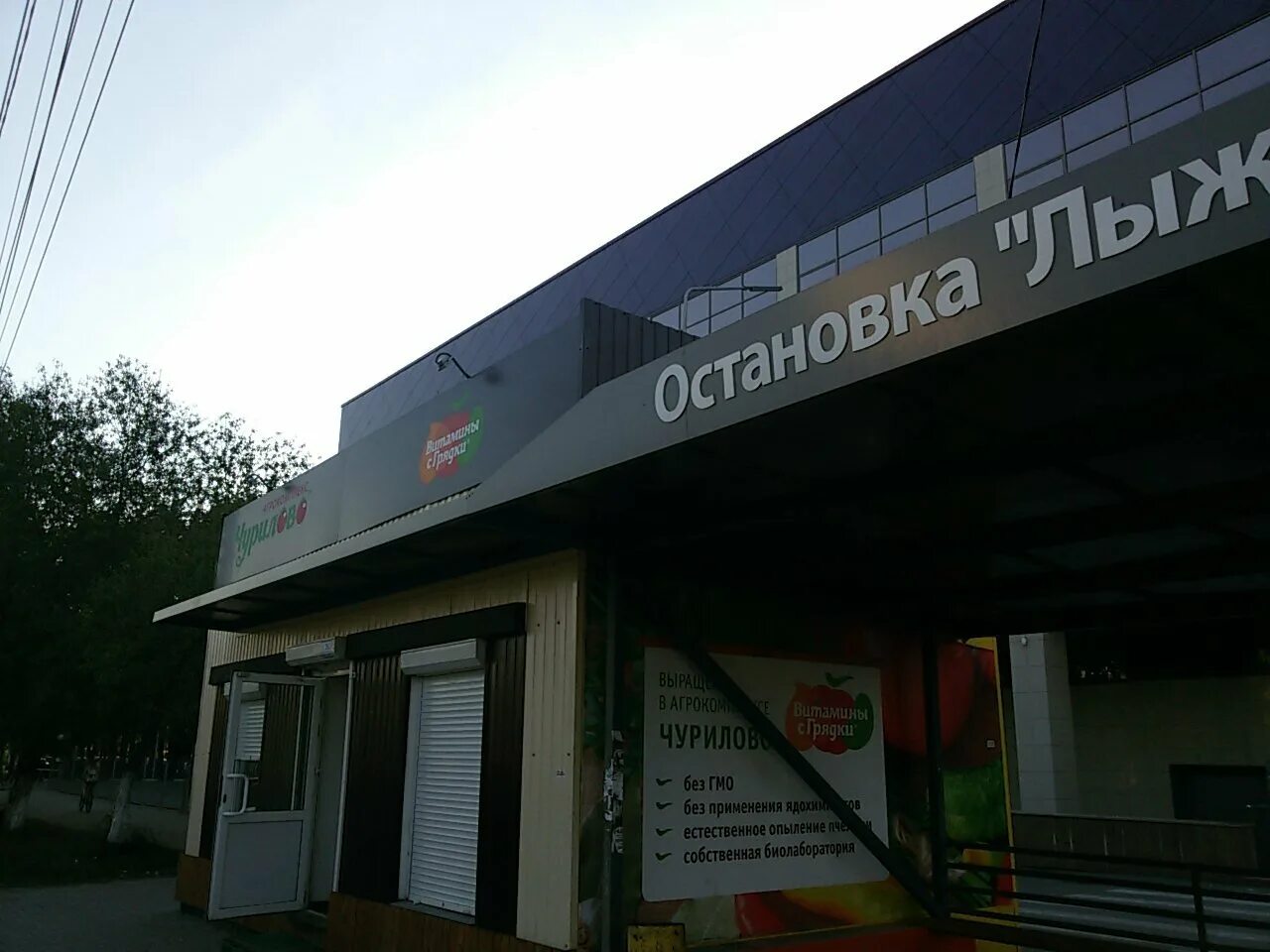 Ленина. Москва ленинский проспект магазин власта. Проспект вернадского 1970. Проспект ветеранов 1980. Ленинград до войны 1941 года.