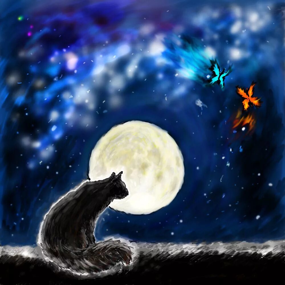 Песни лунный кот. Лунные коты. Ночь Луна кот. "Лунный кот". Кошка под луной.