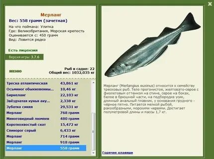 Морская рыба тресковых 6