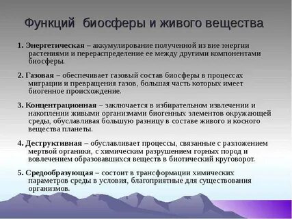 Какую роль выполняет биосфера