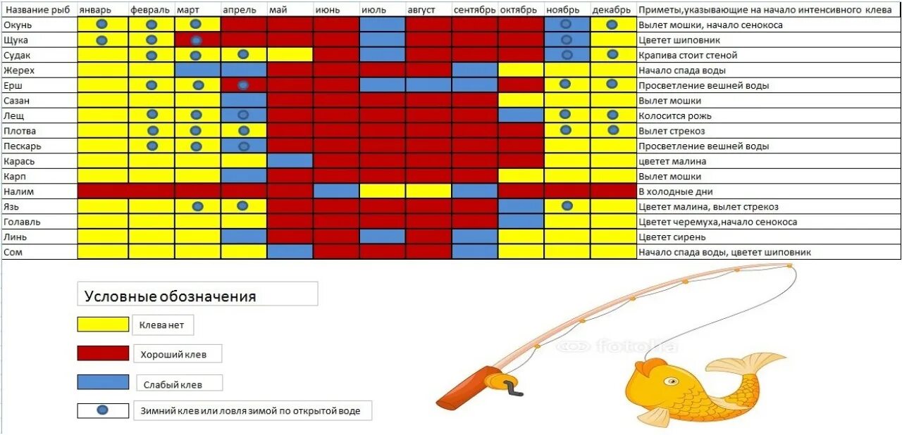 Таблица клева рыбы. Календарь рыболова. График рыбалки и клева. Расписание рыбалки.
