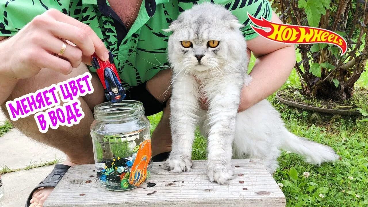 Включи школа сладуна. Школа Сладуна Кевин. Кевин Билли СЛАДУН. Кот Кевин. Кот Кевин СЛАДУН.