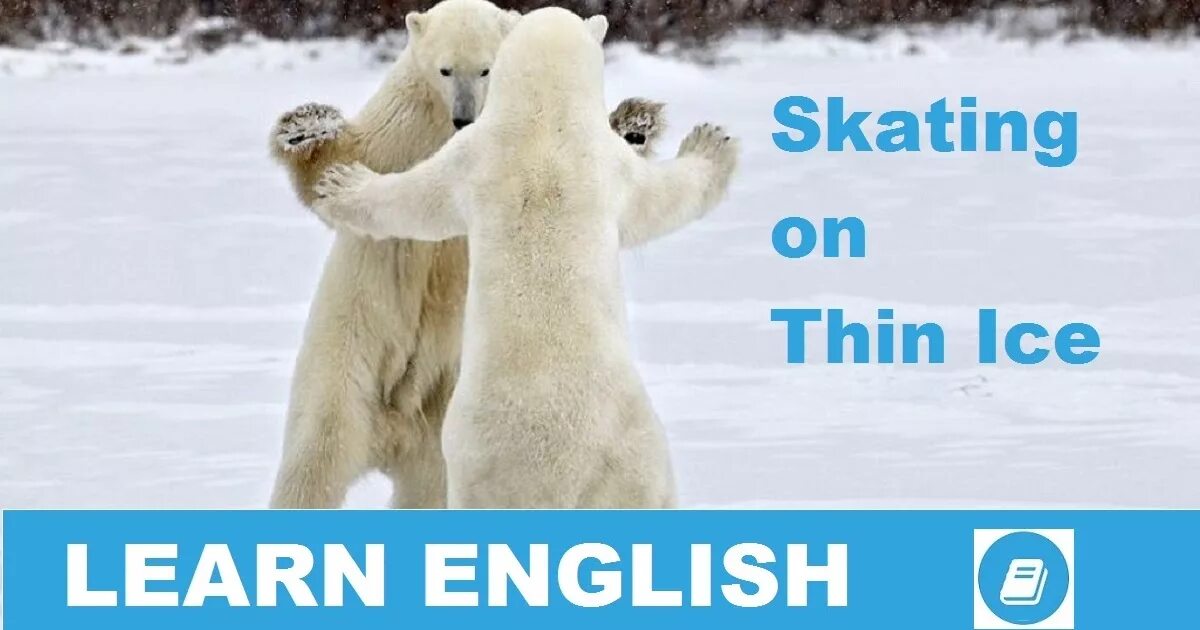 You are here ice. On thin Ice idiom. Skate on thin Ice идиома. To be Skating on thin Ice идиома. Polar Bear Skate.