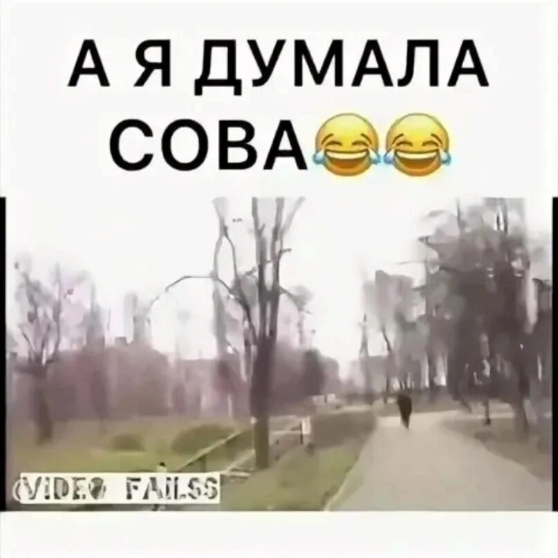 А я думала сова мем. А я думала сова. бабка а я думала сова. а я думал сова прикол.