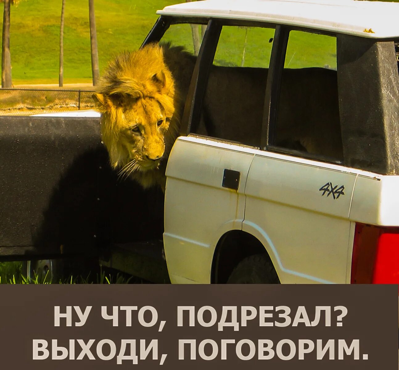 Выходи пообщаемся. Выходи поговорим. выйдем поговорим. выходи побазарим.