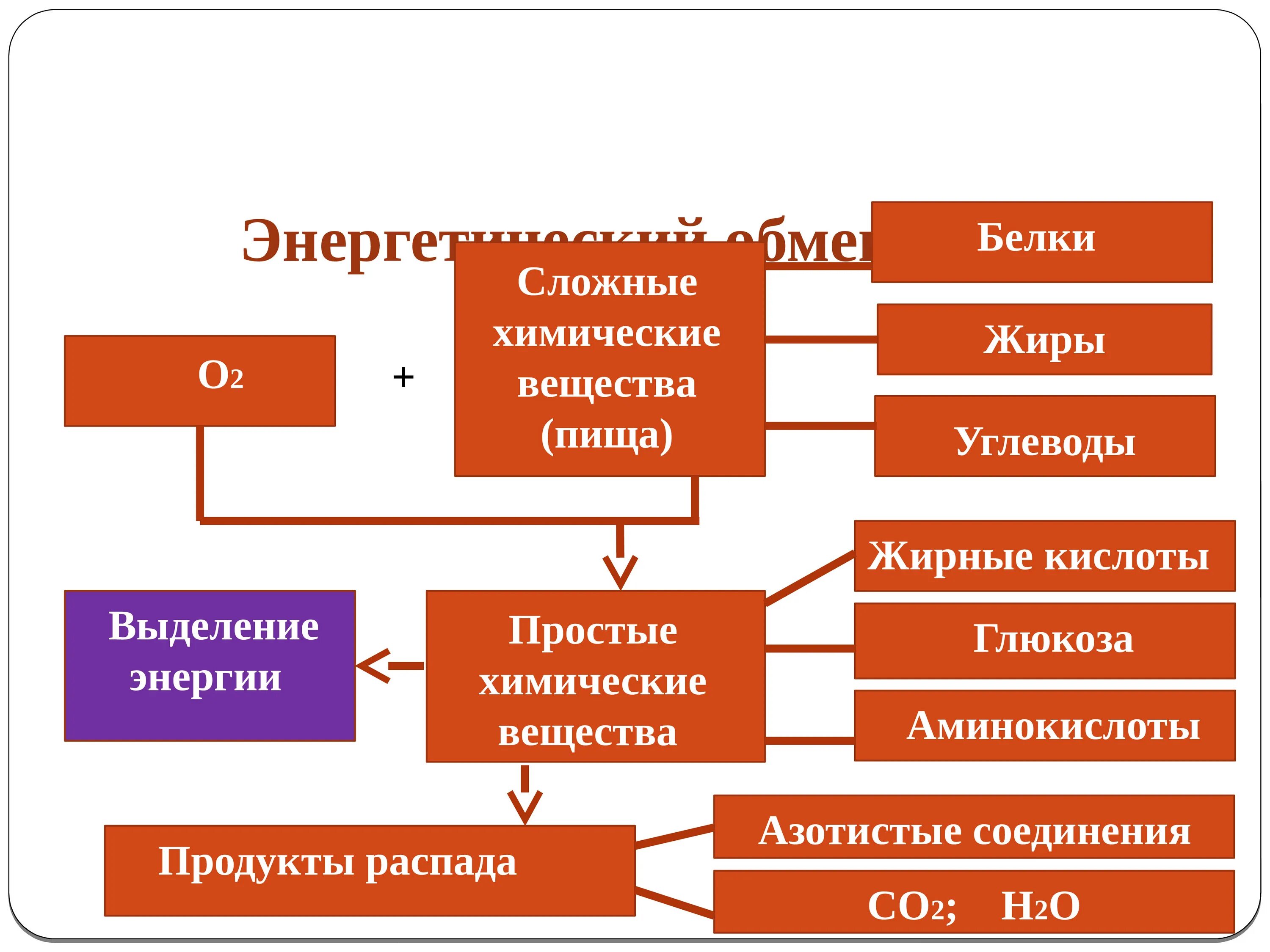 Белки сложные соединения. Этапы энергия обмена веществ схема. Энергетический обмен в организме схема. Схема энергетического обмена углеводов.