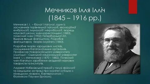 Десять мечников