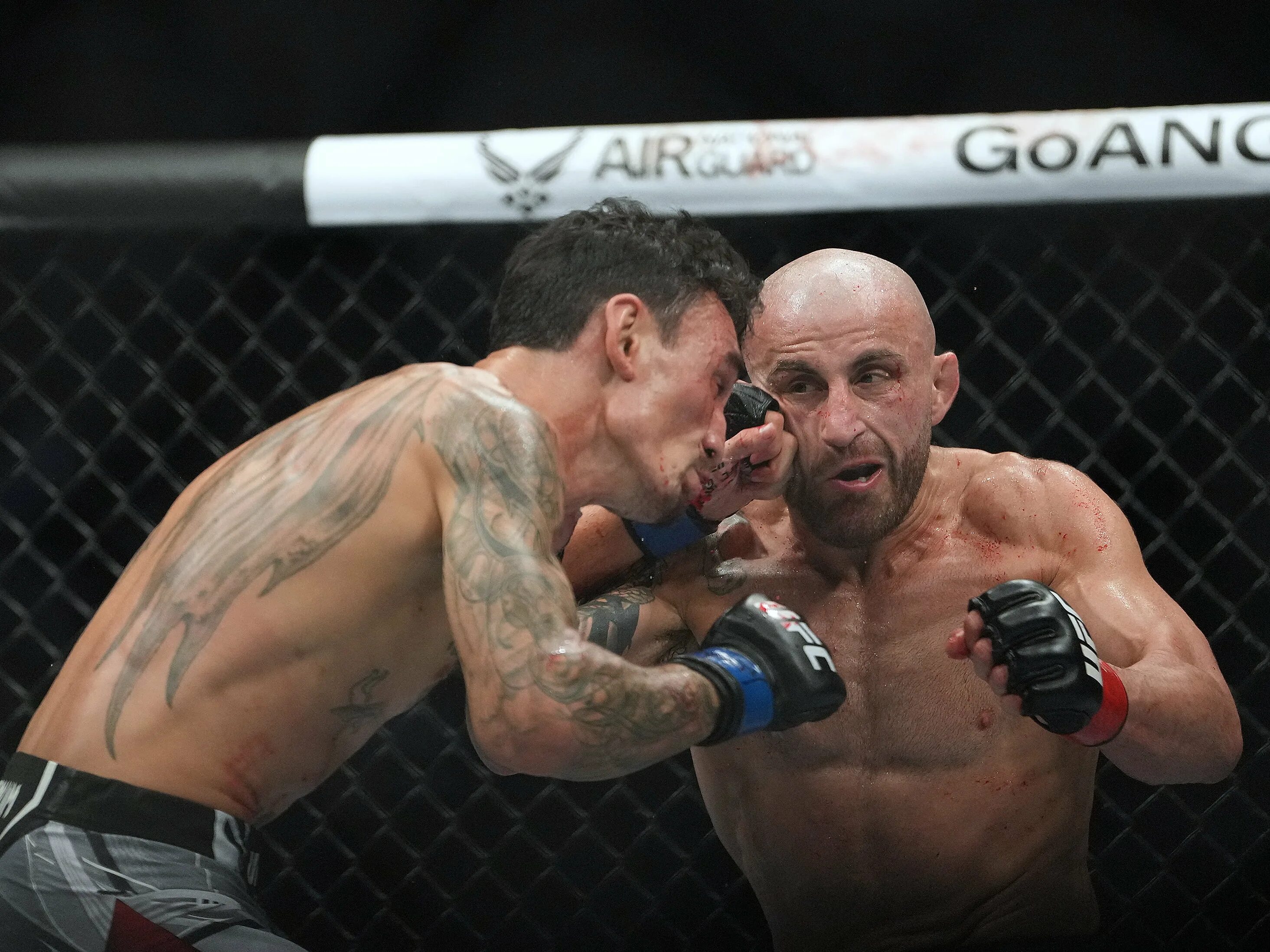 Ufc fight night прямая трансляция. Ufc grasso. Канал ufc бой. Фрэнсис нганну нокауты. Келвин каттар алекс волкановски.