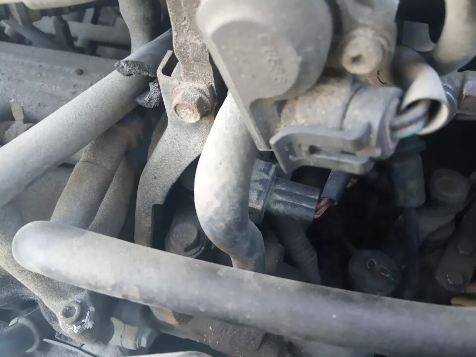 Ошибки матиз 0.8. P0342 матиз. p0342 matiz 0.8. p0406 матиз. p1403 матиз.