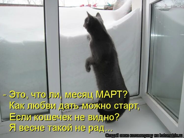 Чтоб не мерзла. Кот пришел. Смешные надписи на окнах. Смешные коты с надписями окно. Скоро там Весна.