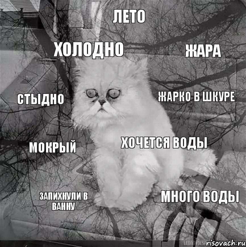 Беременность то холодно то жарко. Беременность то холодно то жарко