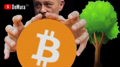 Демура сити класс 14 февраля