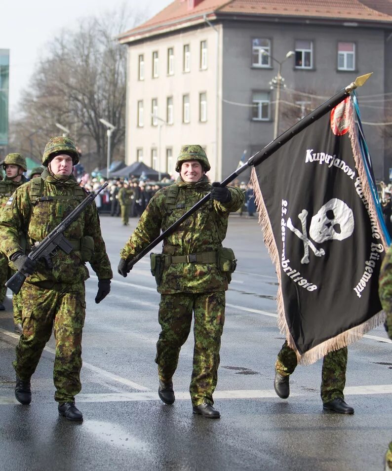 Эстония направит одного военного. Пехотная бригада Эстонии. Армия Эстонии.